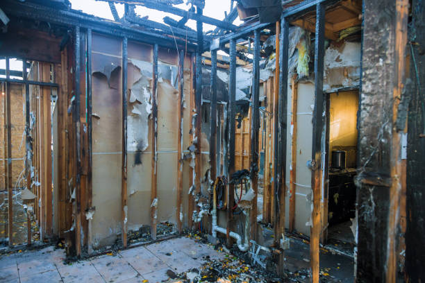 Professional Structural Rebuild technician working in Fraser, MI